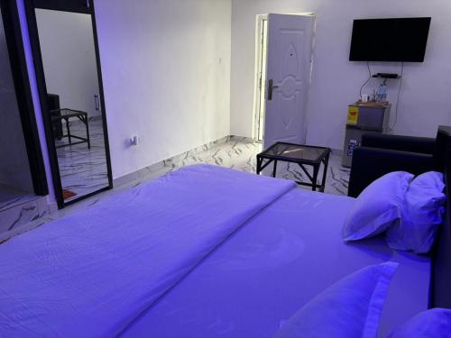 whatsapp_image_2026-01-17_at_11