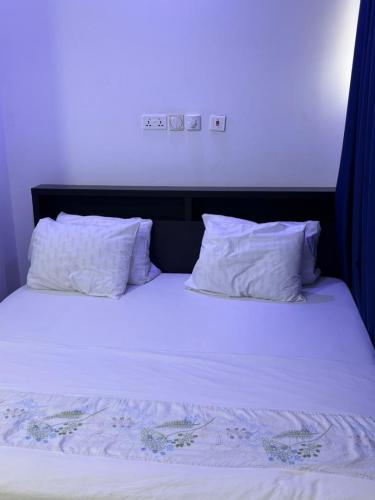 whatsapp_image_2026-01-19_at_1