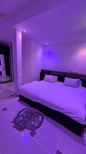 whatsapp_image_2026-01-19_at_2